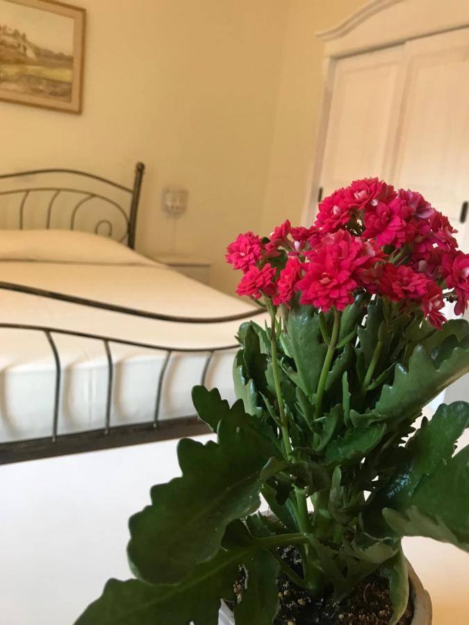 Domo Antiga Guest Rooms Sorso Eksteriør billede